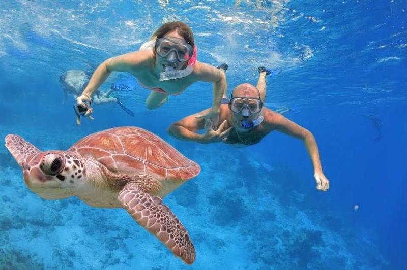 Snorkeling Trip At Hamata Islands From Marsa Alam